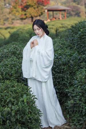 《我的老师中字ID》清晰免费